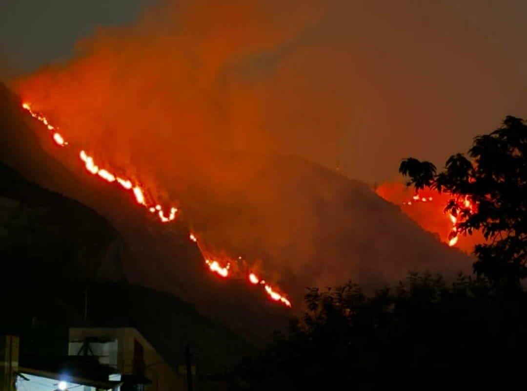 Manfredi: “L’incendio ai Camaldoli probabilmente doloso”