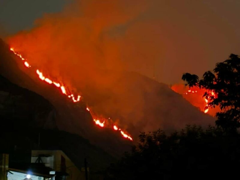 Manfredi: “L’incendio ai Camaldoli probabilmente doloso”