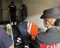 Al Parco Verde ci ricascano: Carabinieri smantellano una nuova piazza di spaccio